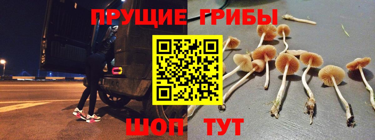 где купить   Галлюциногенные грибы GOLDEN TEACHER  Вход с VPN  Бийск 