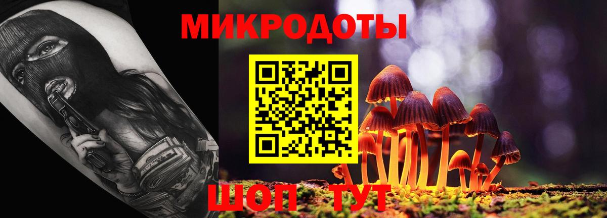 Псилоцибиновые грибы Cubensis Бийск